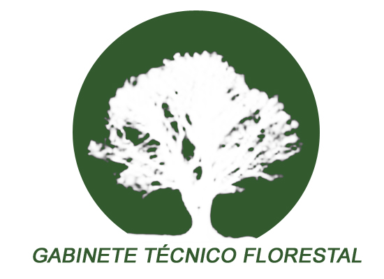 GTF_logo