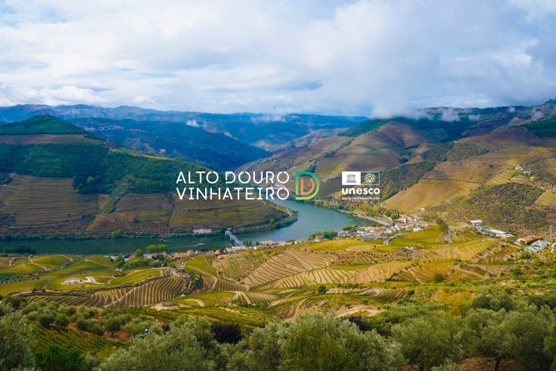 alto-douro-vinhateiro